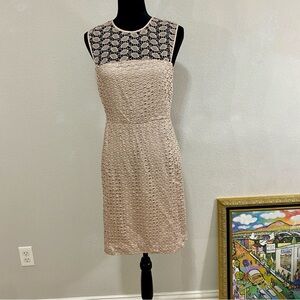 Diane Von Furstenberg Nude/Blush Kinchu Lace Sheath Dress, Size 8, Classic, Chic